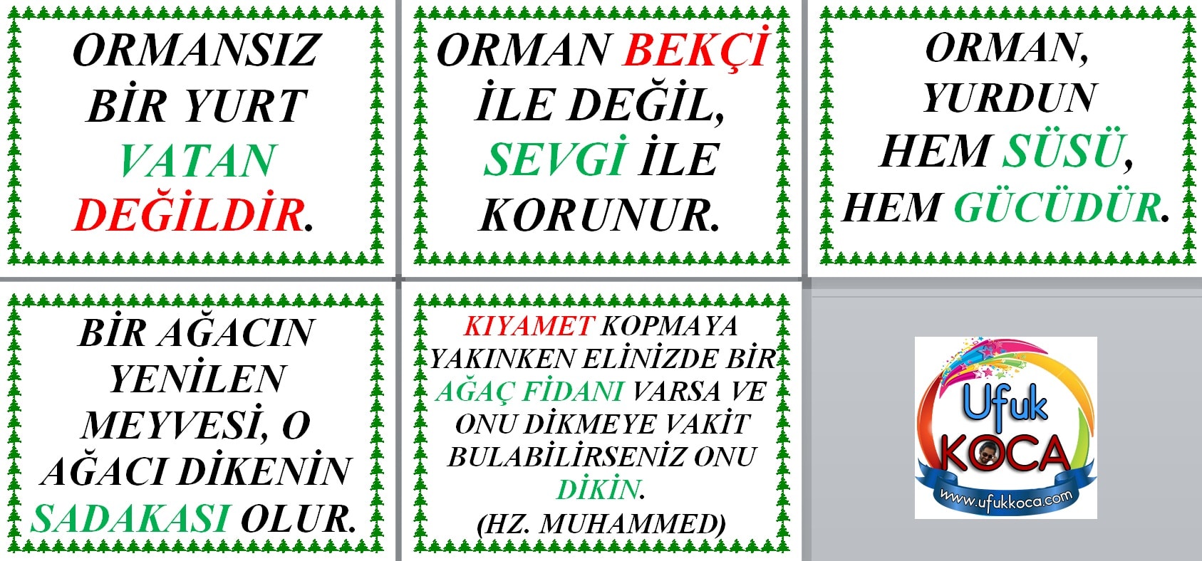 21 26 Mart Orman Haftasi Tum Dokumanlar Burada Video Ve